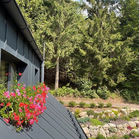 Apartmany V Lese Bedřichov Dış mekan fotoğraf