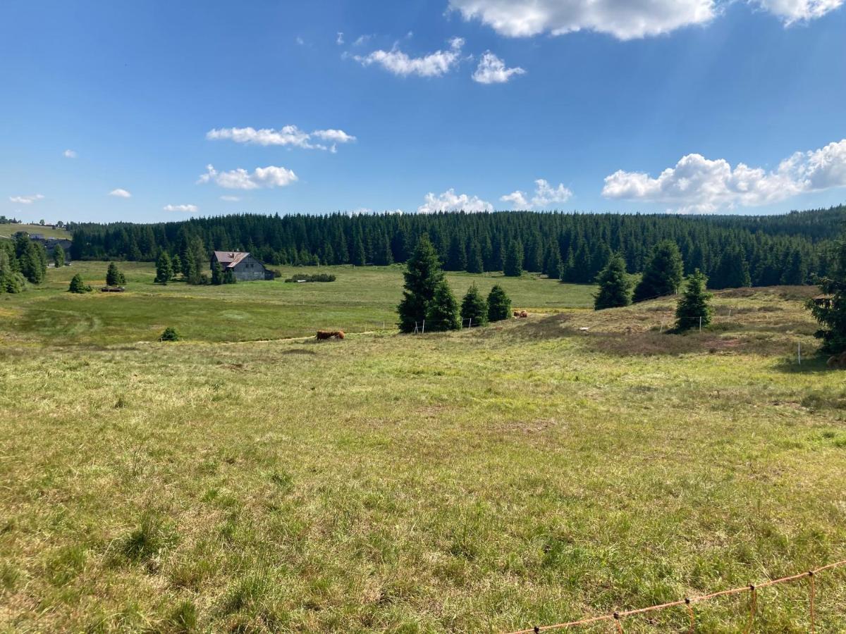 Apartmany V Lese Bedřichov Dış mekan fotoğraf