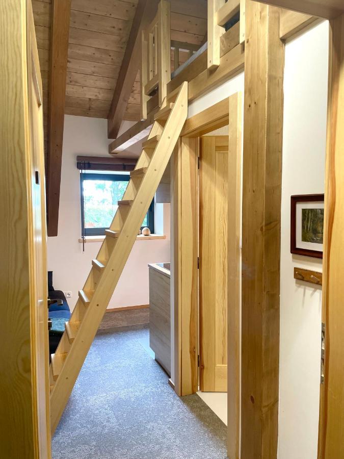 Apartmany V Lese Bedřichov Dış mekan fotoğraf