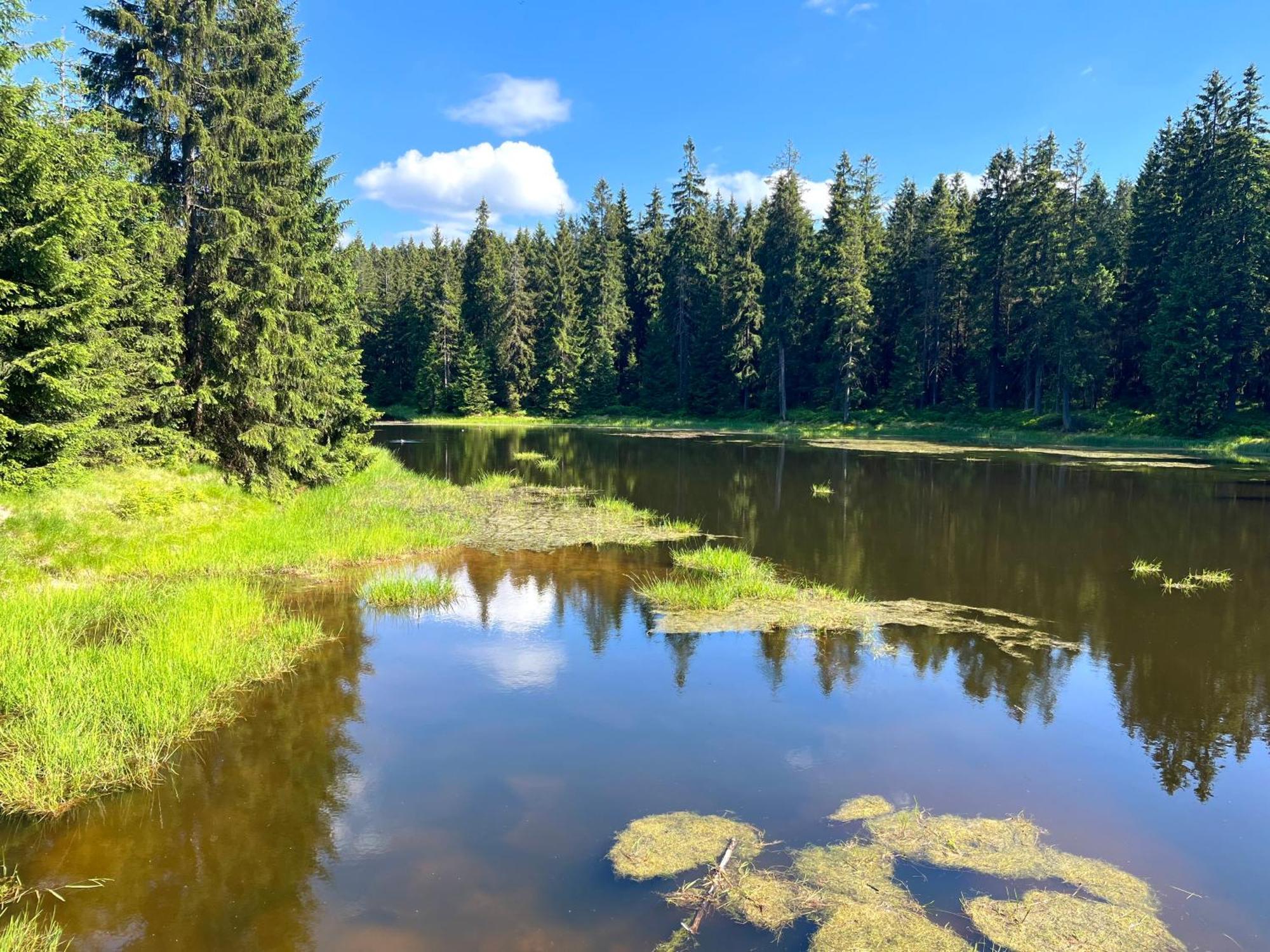 Apartmany V Lese Bedřichov Dış mekan fotoğraf