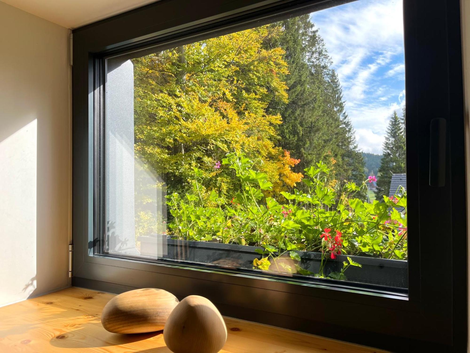 Apartmany V Lese Bedřichov Dış mekan fotoğraf
